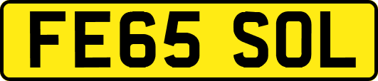 FE65SOL