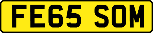 FE65SOM
