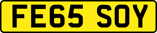 FE65SOY