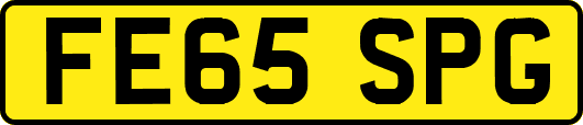FE65SPG