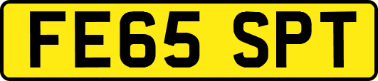 FE65SPT