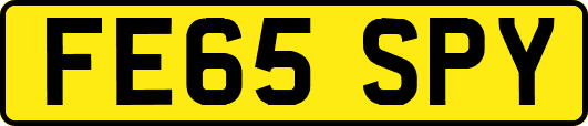 FE65SPY