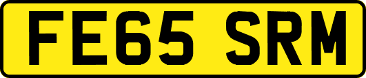 FE65SRM