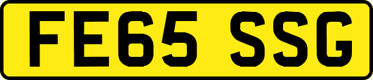 FE65SSG