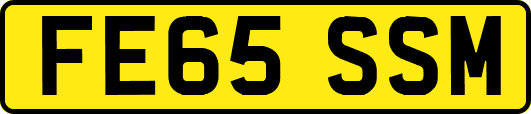 FE65SSM