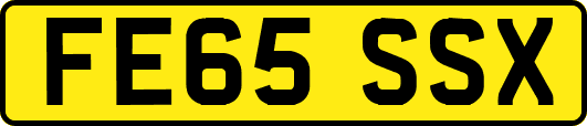 FE65SSX