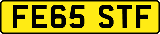 FE65STF