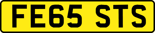 FE65STS