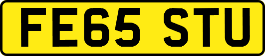FE65STU