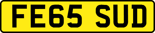 FE65SUD