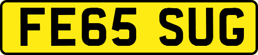 FE65SUG