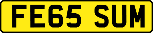 FE65SUM
