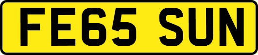 FE65SUN