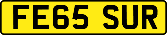 FE65SUR