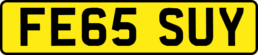 FE65SUY