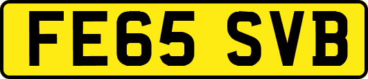 FE65SVB