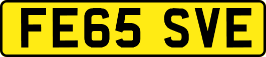 FE65SVE