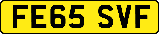 FE65SVF