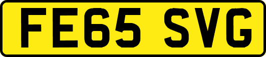 FE65SVG