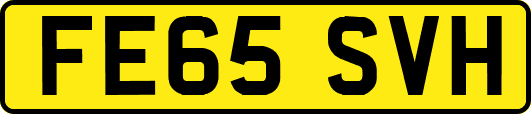 FE65SVH