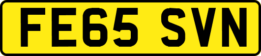 FE65SVN