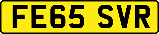 FE65SVR