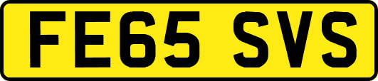 FE65SVS