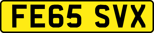 FE65SVX