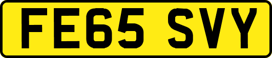 FE65SVY
