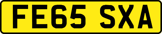 FE65SXA