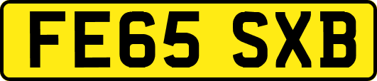 FE65SXB