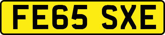 FE65SXE