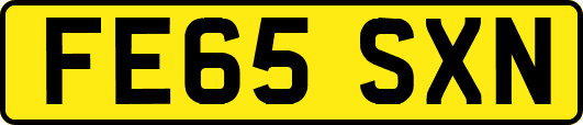 FE65SXN