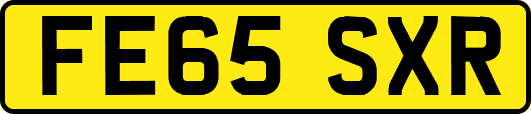 FE65SXR