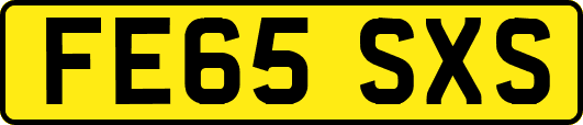 FE65SXS