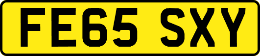 FE65SXY