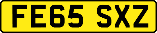 FE65SXZ