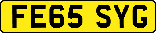 FE65SYG