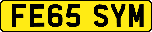 FE65SYM