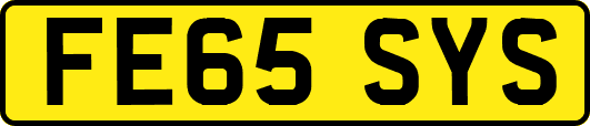 FE65SYS
