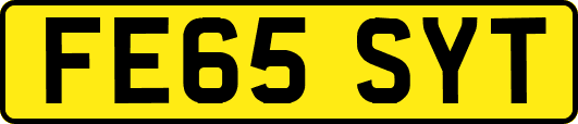 FE65SYT