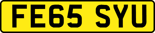 FE65SYU