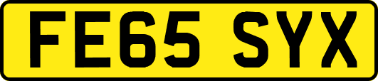 FE65SYX