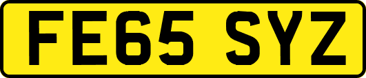 FE65SYZ