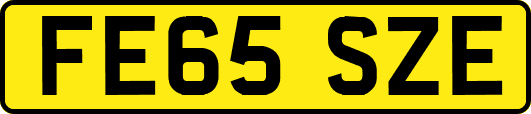 FE65SZE