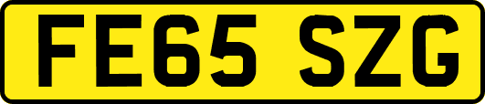 FE65SZG
