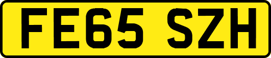 FE65SZH