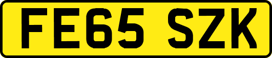 FE65SZK