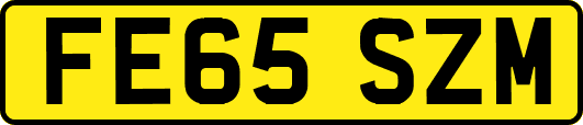 FE65SZM