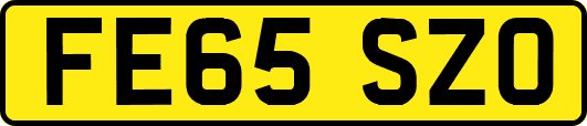 FE65SZO